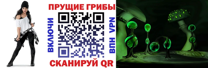 Галлюциногенные грибы мицелий  цена наркотик  Кремёнки 